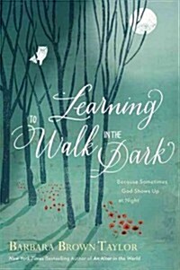 Learning to Walk in the Dark (Hardcover)