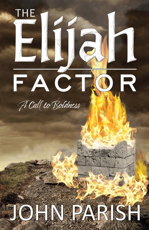 The Elijah Factor (Paperback)