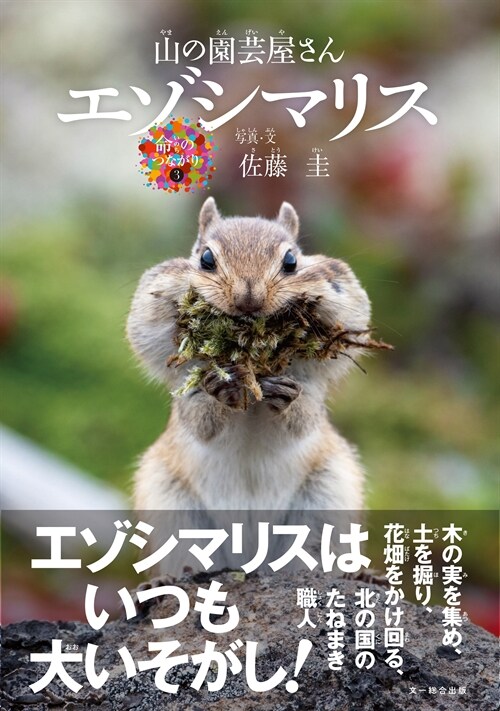 エゾシマリス