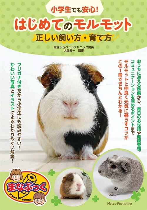 小學生でも安心!はじめてのモルモット正しい飼い方·育て方