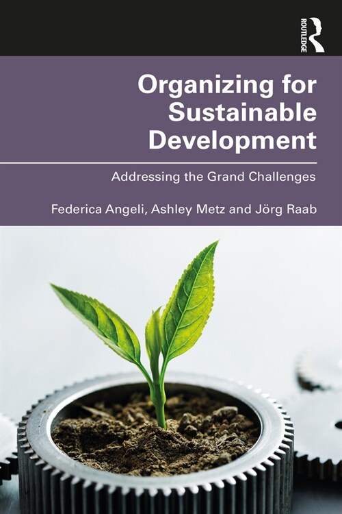 Organizing for Sustainable Development : Addressing the Grand Challenges (Paperback)