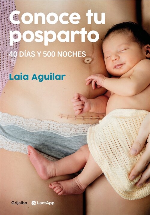 Conoce Tu Posparto: 40 D?s Y 500 Noches / Understanding Your Postpartum Stage: 40 Days and 500 Nights (Paperback)