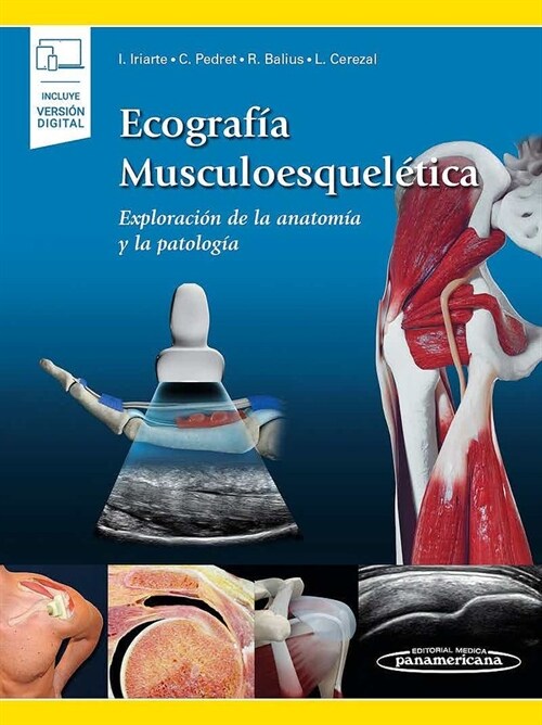 ECOGRAFIA MUSCULOESQUELETICA TOMO 1 (Paperback)