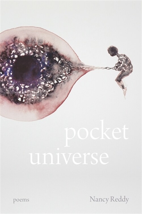 Pocket Universe: Poems (Paperback)