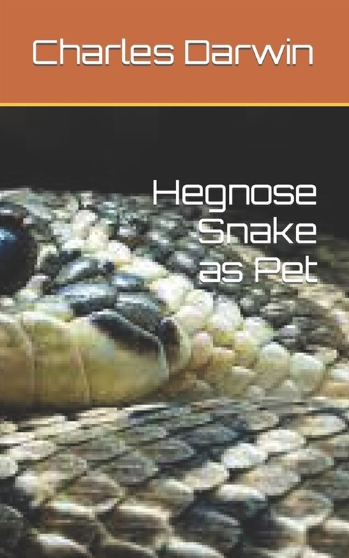 Hegnose Snake as Pet (Paperback)