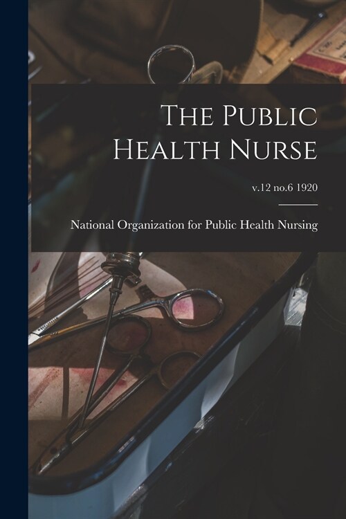 The Public Health Nurse; v.12 no.6 1920 (Paperback)