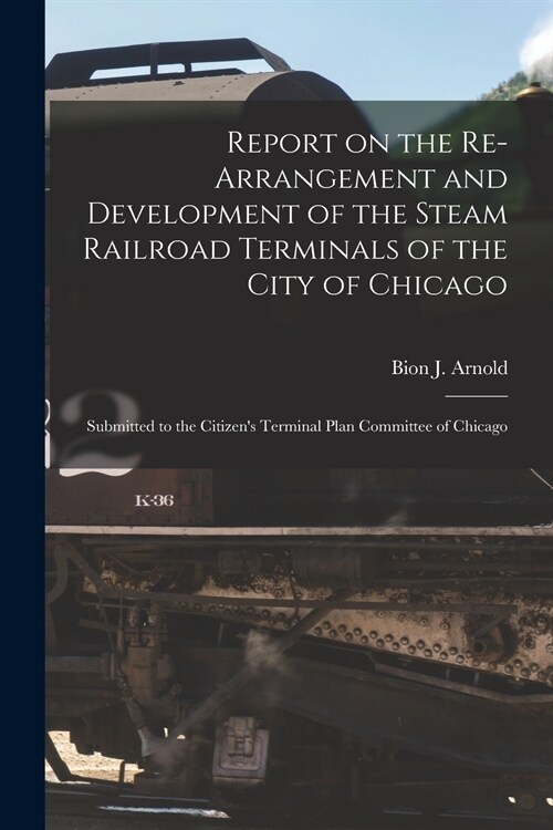 Report on the Re-arrangement and Development of the Steam Railroad Terminals of the City of Chicago: Submitted to the Citizens Terminal Plan Committe (Paperback)