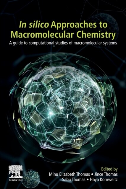In-silico Approaches to Macromolecular Chemistry (Paperback)