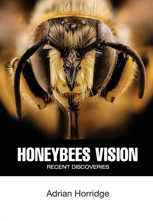 Honeybees Vision: Recent Discoveries (Paperback)