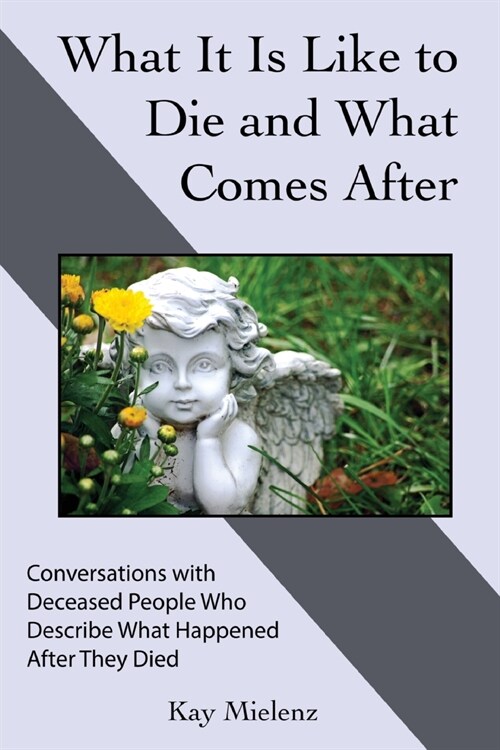 What It Is Like to Die and What Comes After: Conversations with Deceased People Who Describe What Happened After They Died (Paperback)