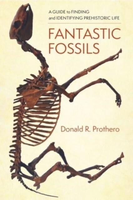 Fantastic Fossils: A Guide to Finding and Identifying Prehistoric Life (Paperback)