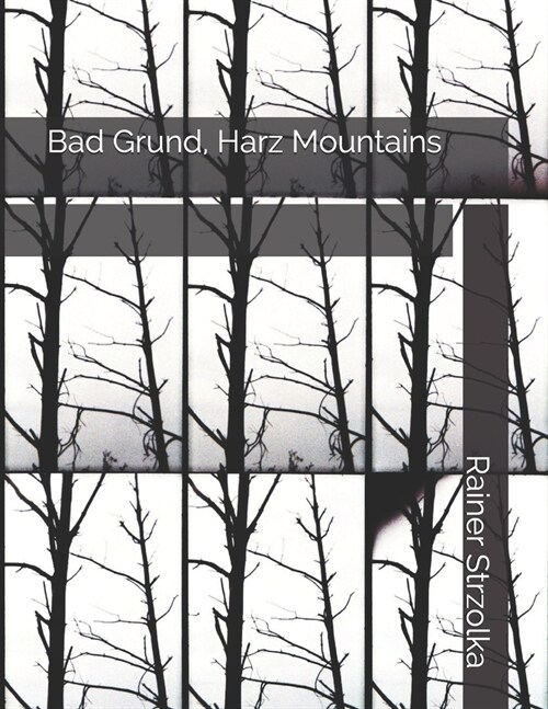 Bad Grund, Harz Mountains (Paperback)