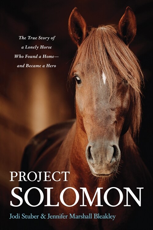 Project Solomon: The True Story of a Lonely Horse Who Found a Home--And Became a Hero (Paperback)