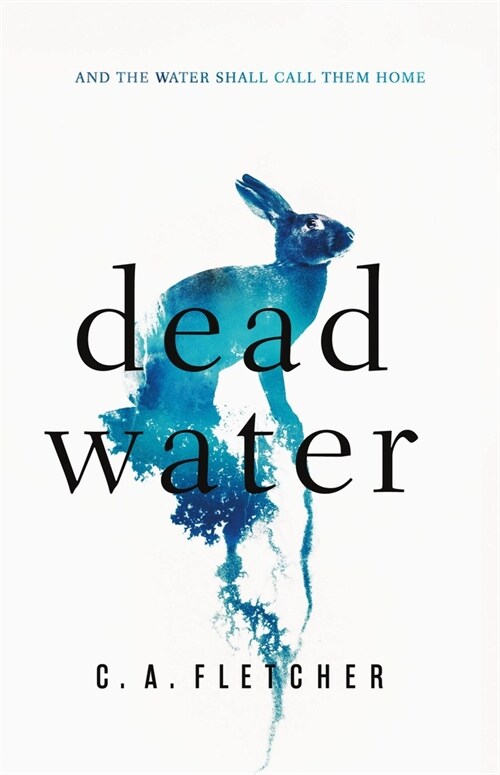 Dead Water (Hardcover)