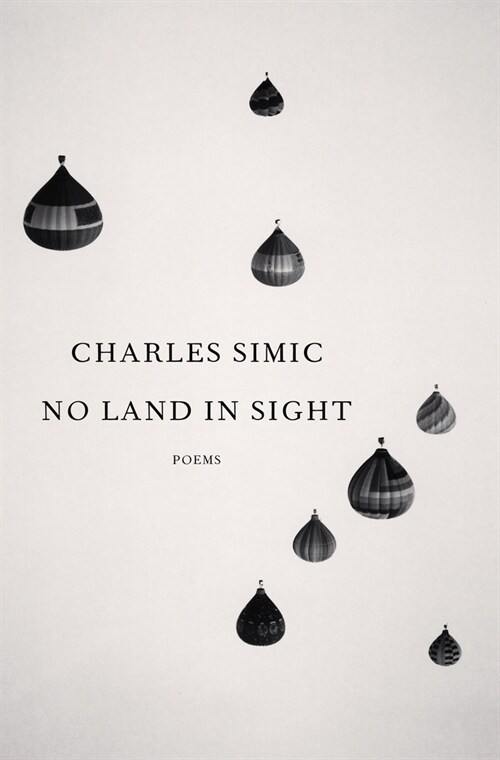 No Land in Sight: Poems (Hardcover)