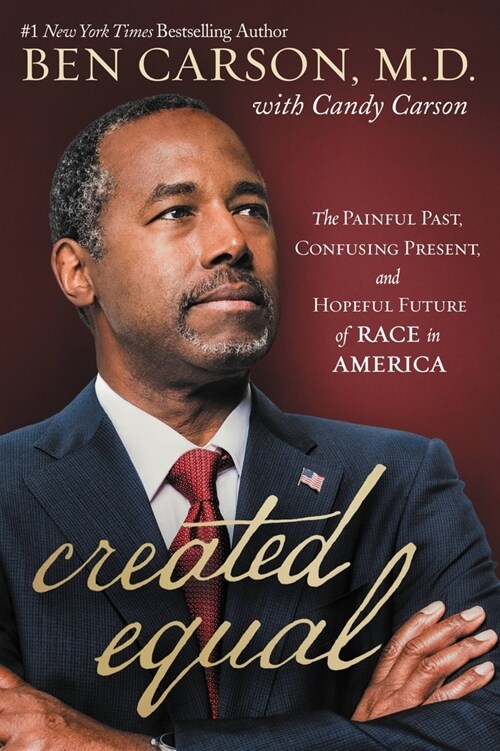 Created Equal: The Painful Past, Confusing Present, and Hopeful Future of Race in America (Hardcover)