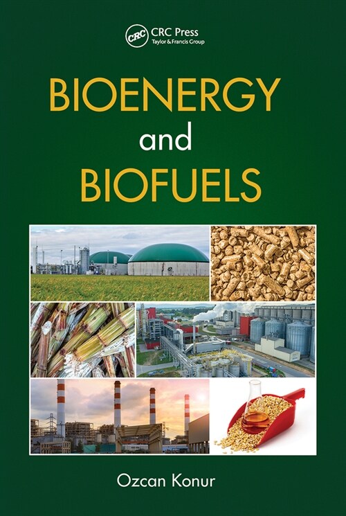 Bioenergy and Biofuels (Paperback, 1)