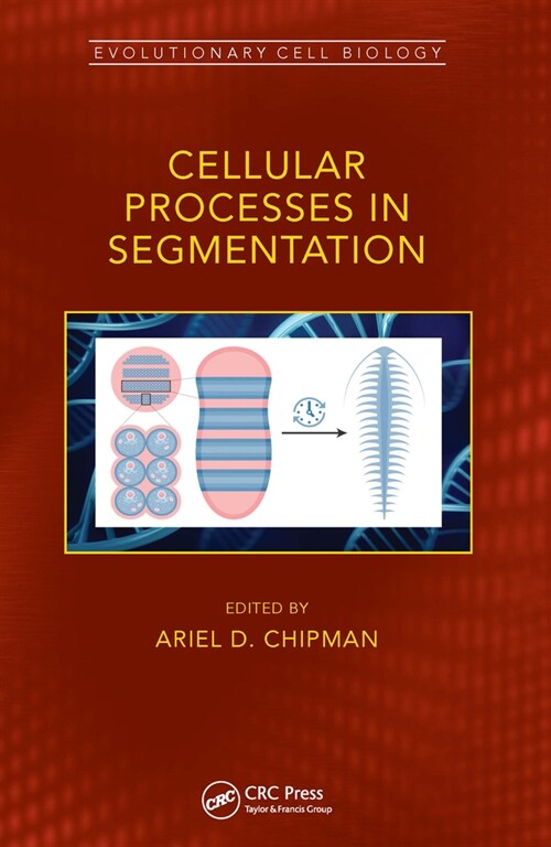 Cellular Processes in Segmentation (Paperback, 1)