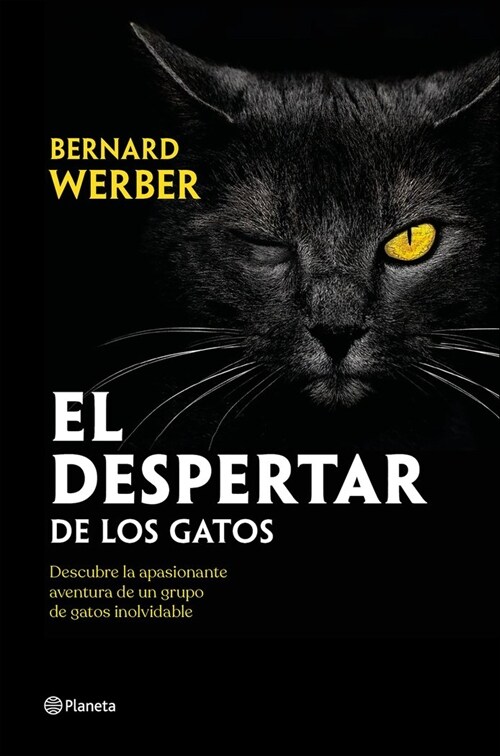 EL DESPERTAR DE LOS GATOS (Paperback)