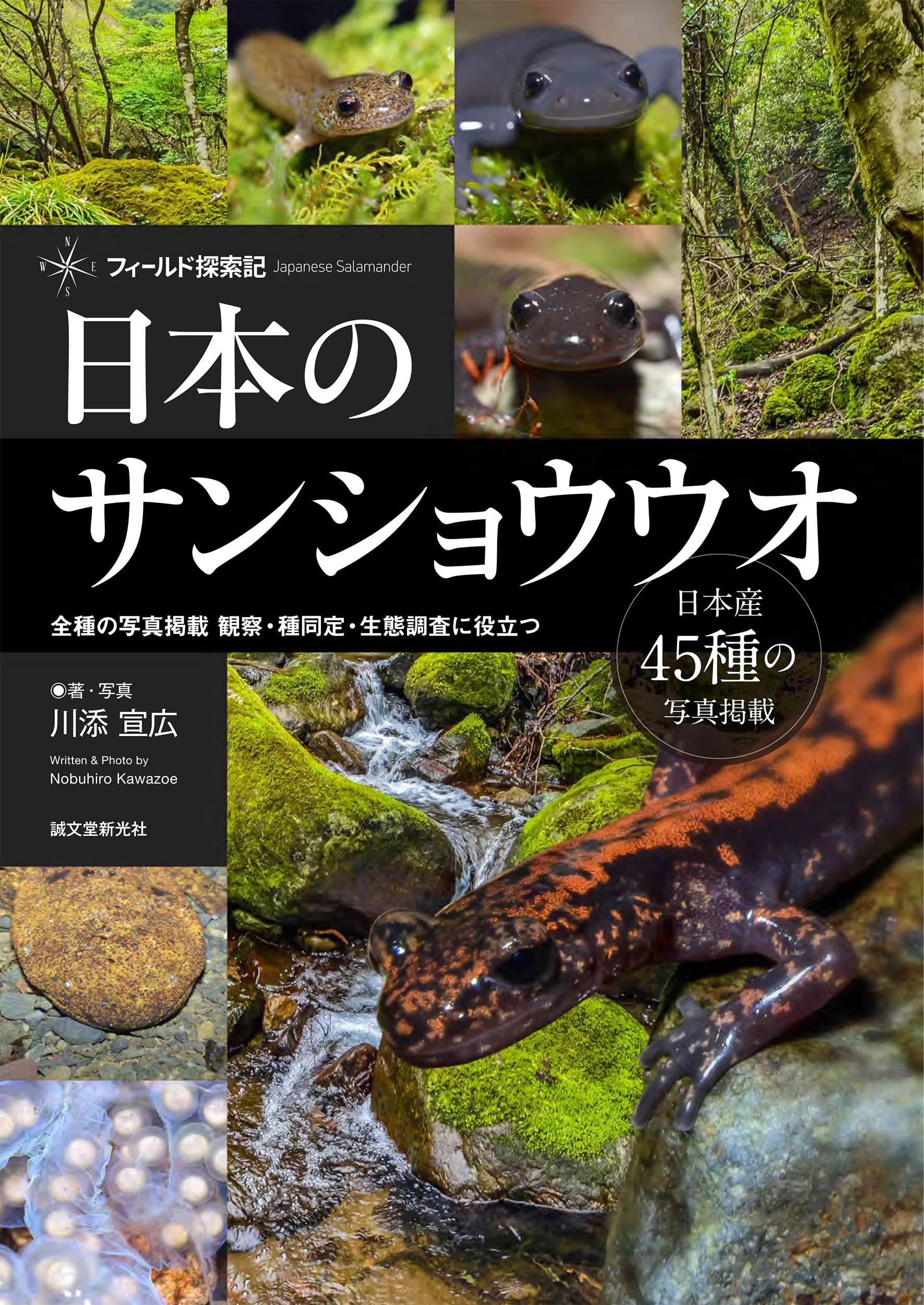 日本のサンショウウオ: 46種の寫眞揭載 觀察·種同定·生態調査に役立つ