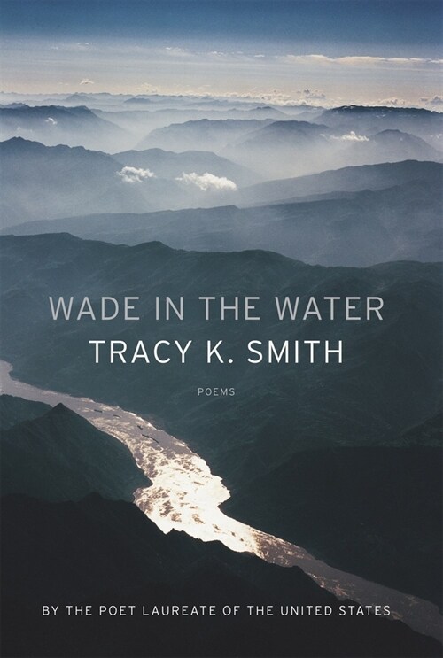 Wade in the Water: Poems (Prebound)
