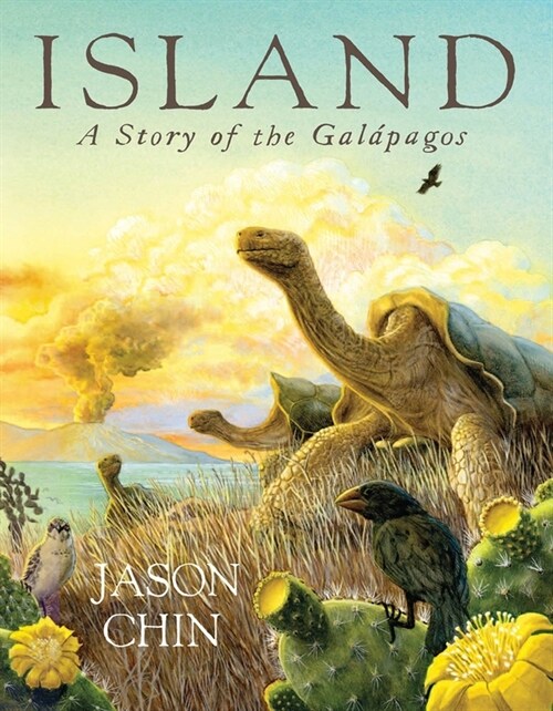 Island: A Story of the Galapagoes (Prebound)