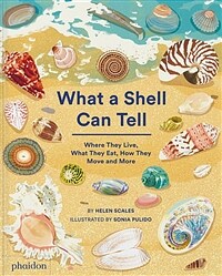 What a shell can tell :where they live, what they eat, how they move, and more 