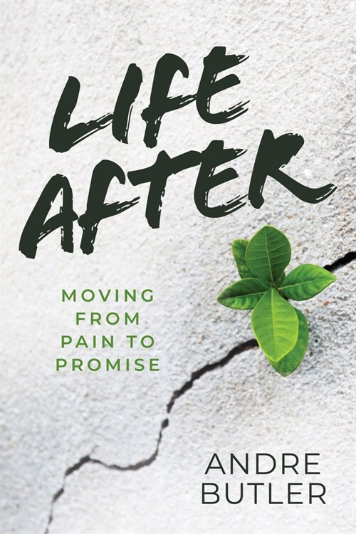 Life After: Moving from Pain to Promise (Paperback)