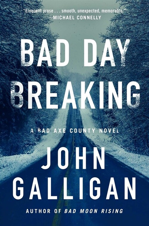 Bad Day Breaking (Paperback)