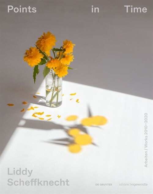 Liddy Scheffknecht - Points in Time: Arbeiten/Works 2010-2020 (Hardcover)