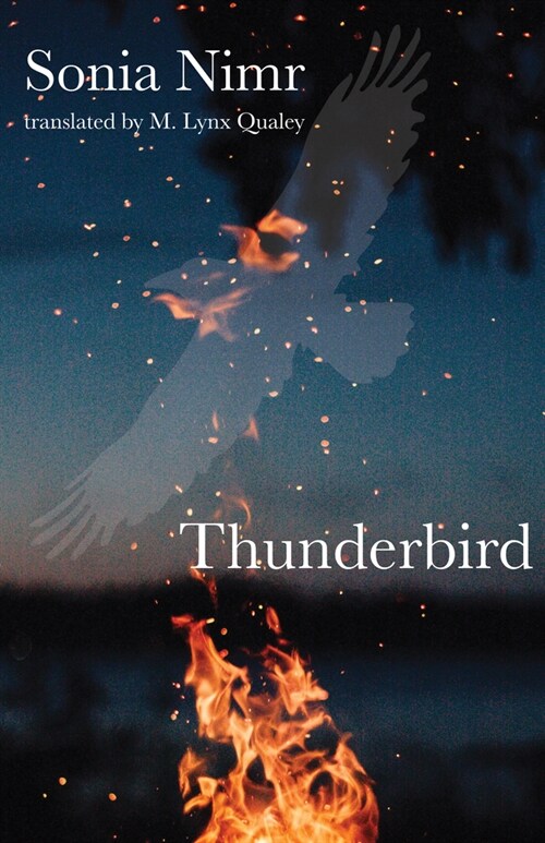Thunderbird: Book One (Paperback)