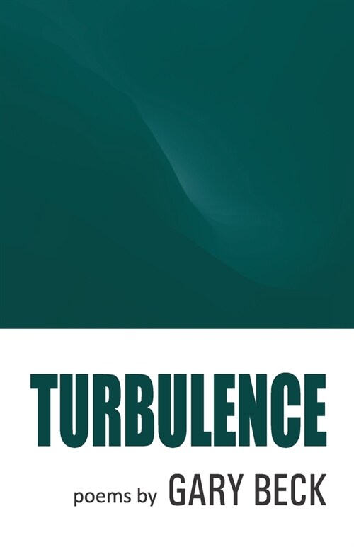 Turbulence (Paperback)
