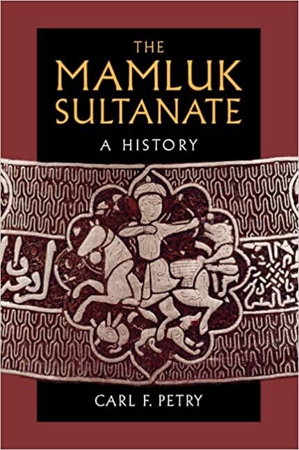 The Mamluk Sultanate : A History (Paperback, New ed)