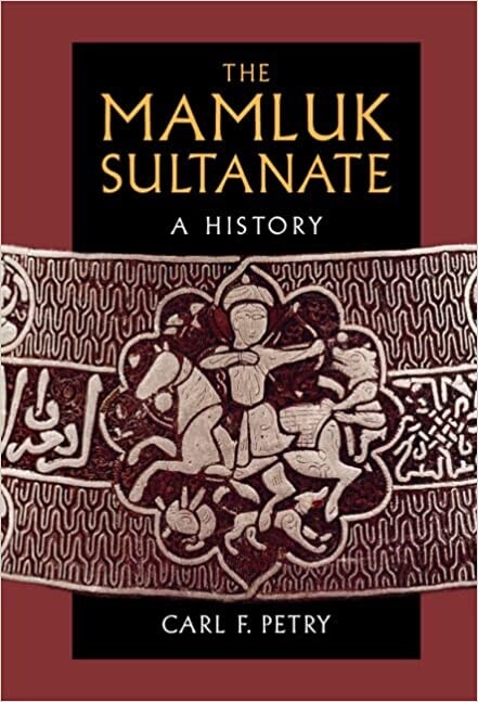 The Mamluk Sultanate : A History (Hardcover, New ed)