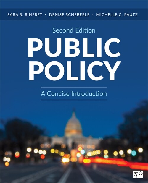 Public Policy: A Concise Introduction (Paperback, 2)