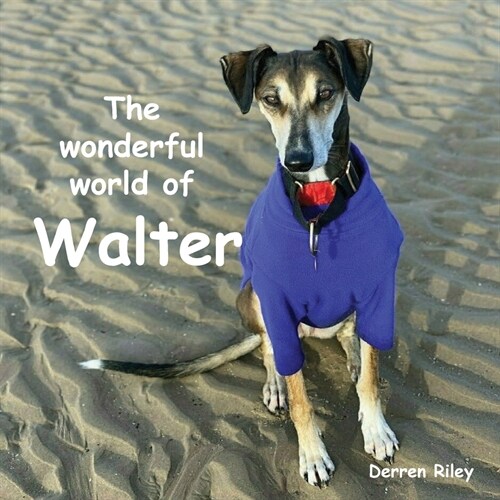 The wonderful world of Walter (Paperback)
