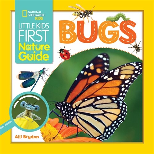 Little Kids First Nature Guide Bugs (Library Binding)