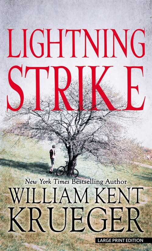 Lightning Strike (Library Binding)