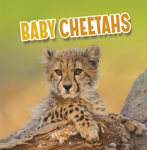 BABY CHEETAHS (Paperback)