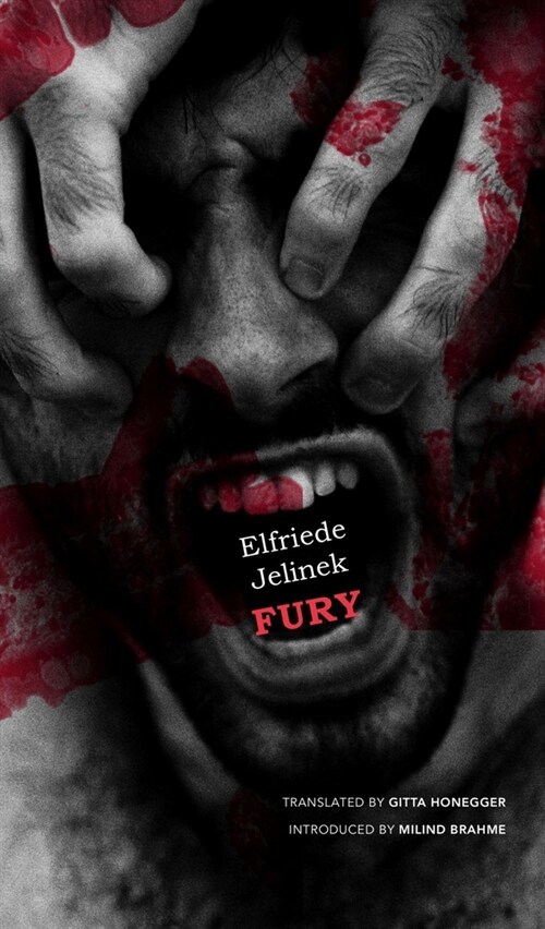 Fury (Hardcover)