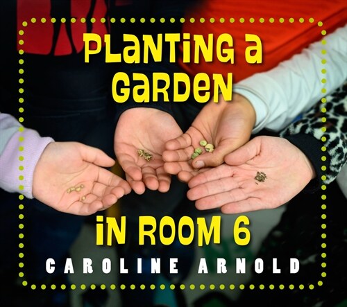 Planting a Garden in Room 6: From Seeds to Salad (Hardcover)