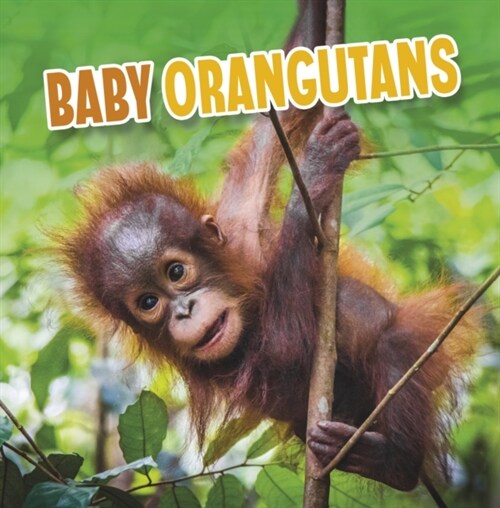 BABY ORANGUTANS (Paperback)