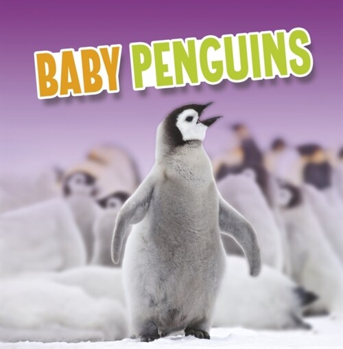 BABY PENGUINS (Paperback)