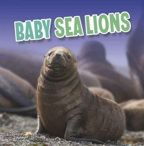 BABY SEA LIONS (Paperback)