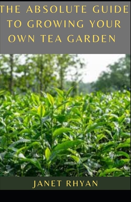 The Absolute Guide To Growing Your Own Tea Garden (Paperback)