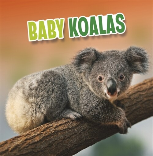 BABY KOALAS (Paperback)