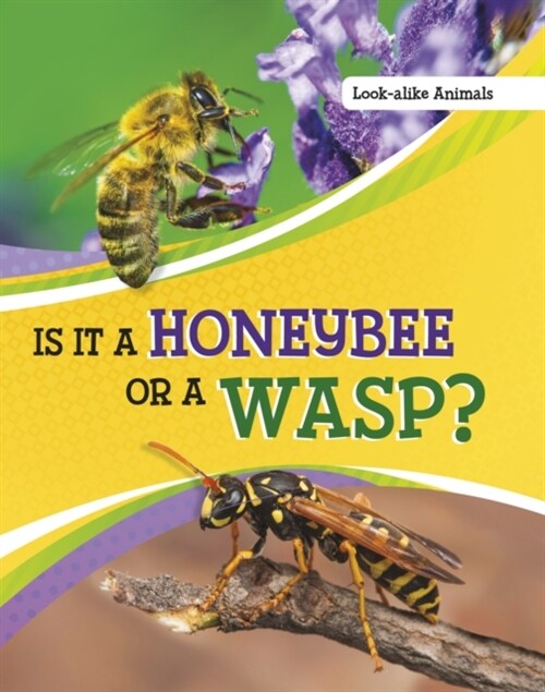 Is It a Honeybee or a Wasp? (Paperback)