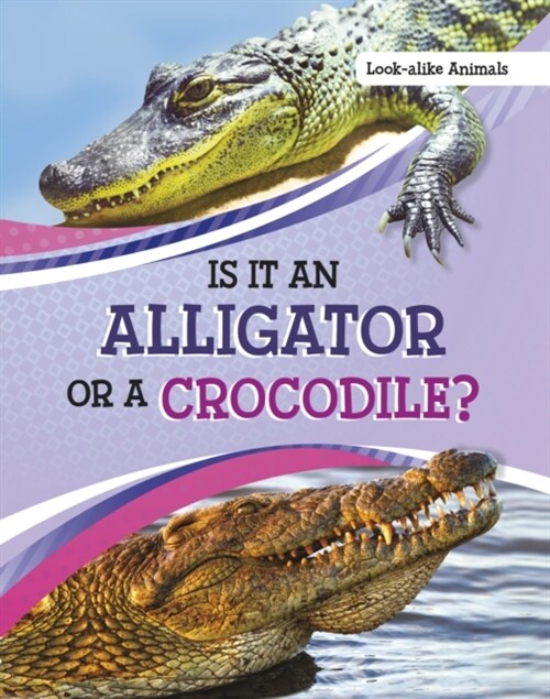 Is It an Alligator or a Crocodile? (Paperback)