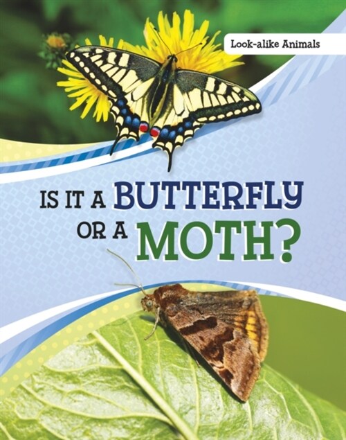 Is It a Butterfly or a Moth? (Paperback)