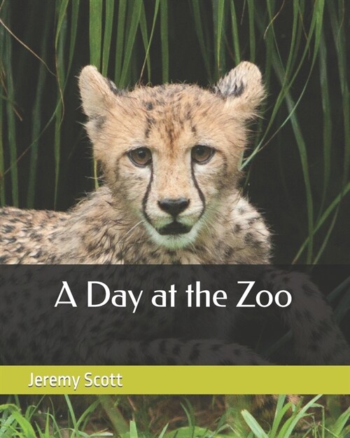 A Day at the Zoo (Paperback)